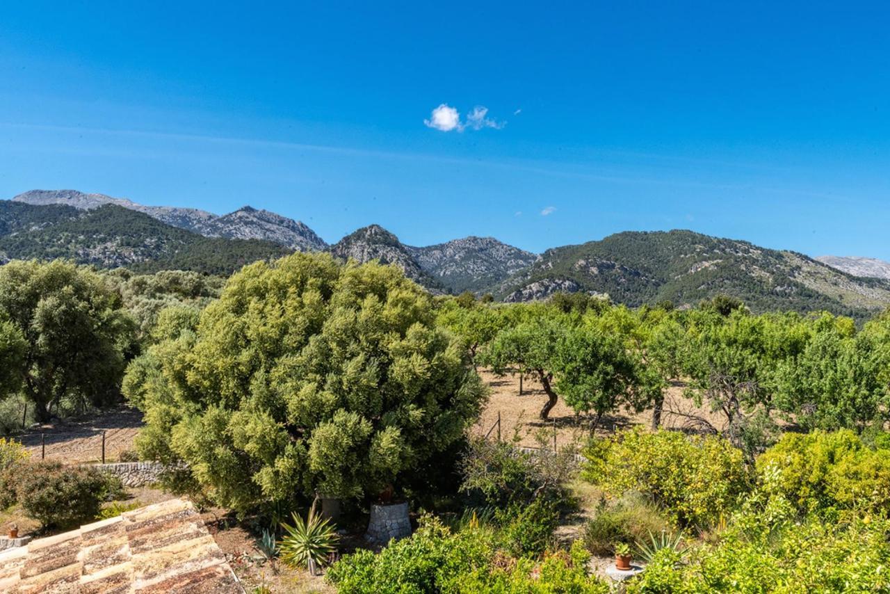 Finca Son Arnau Сельва Екстер'єр фото